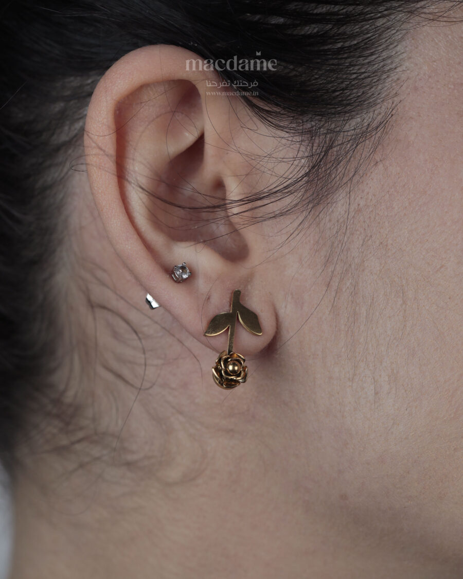 Carrousel flower love macdame4