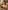 Hamza BEN ABBES Cree une image hyperrealiste dune jeune femme tunisienne tres be af3dba4f ad00 418c 8c72 12741684162a