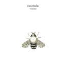 Broche Unique Whispers – broche femme en acier 316L, bijou cadeau Macdame