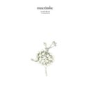 Broche Eden's Mark – broche femme en acier 316L, bijou cadeau Macdame